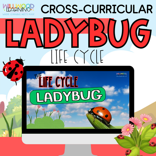 Life Cycle of a Ladybug Digital Book | All About Ladybugs