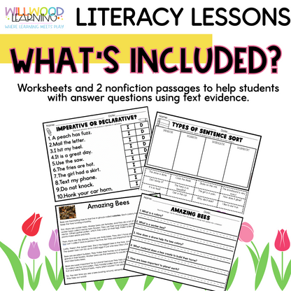 Types of Sentences Review